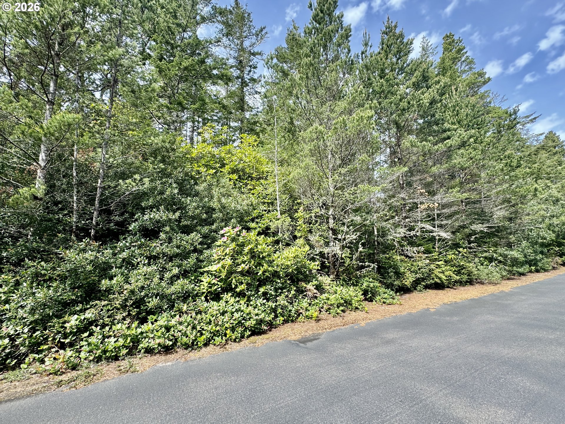 Kelsie Way, Unit 57 Florence, OR 97439 - Photo 5 of 9