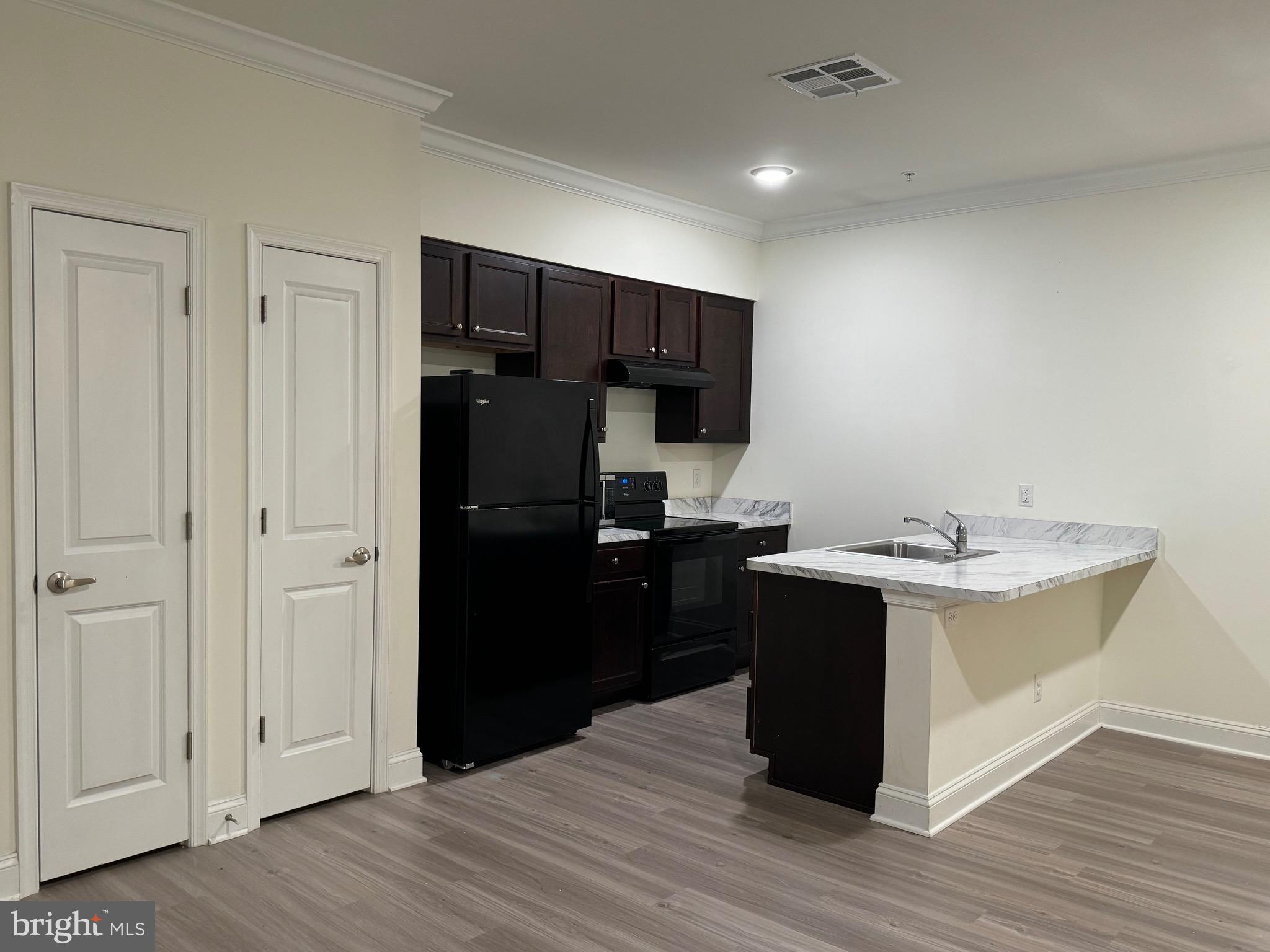 1812 Main Street, Unit 202 Chester, MD 21619 - Photo 3 of 26 Modern Efficient Kitchen