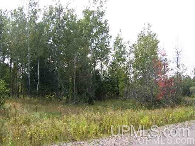 13880 Jackola Road Atlantic Mine, MI 49905 - Photo 25 of 30