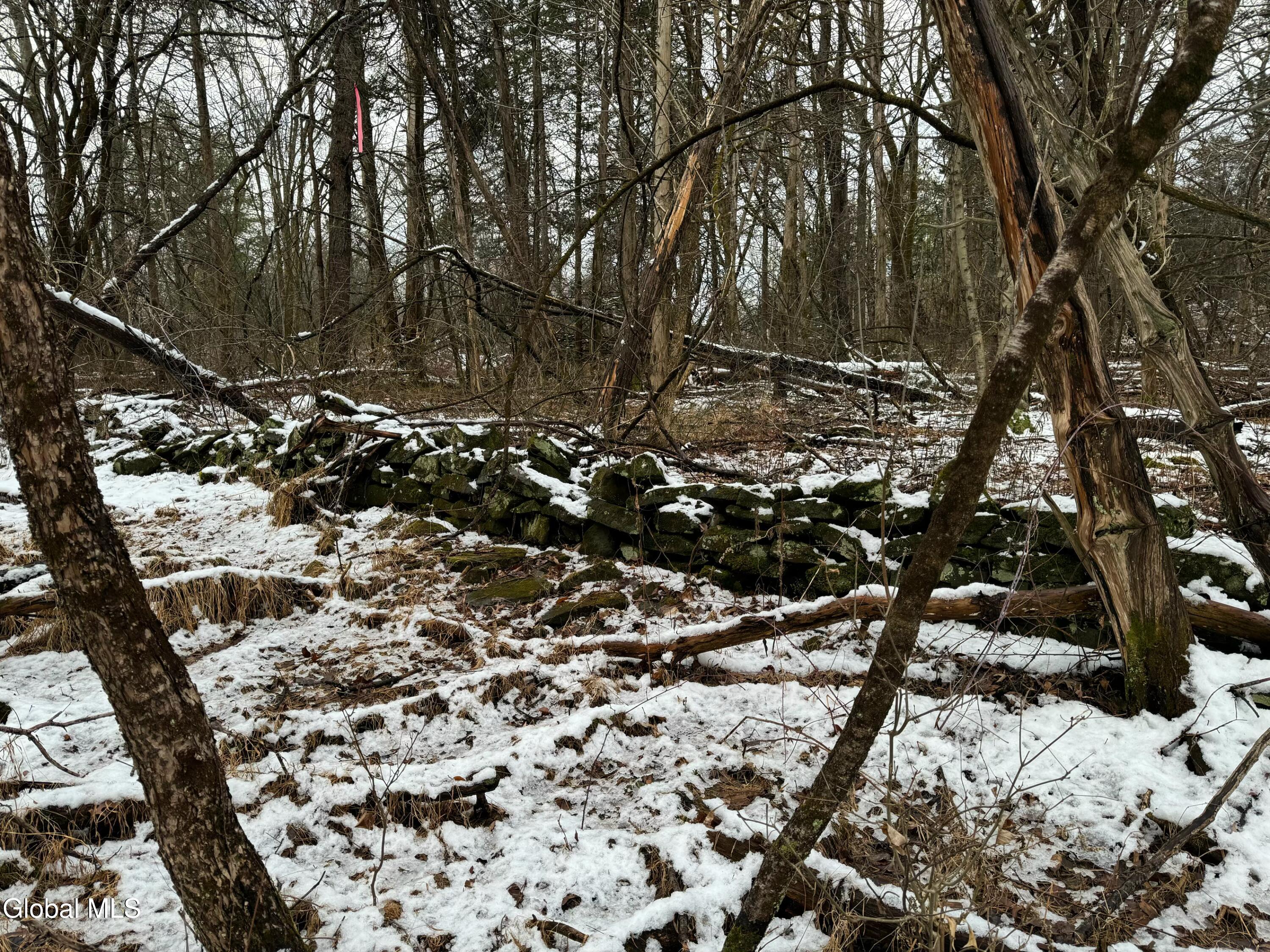 2000 Sleepy Hollow Rd.