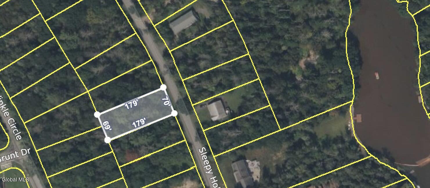 2000 Sleepy Hollow Road Coxsackie, NY 12015 - Photo 2 of 10 Aerial View