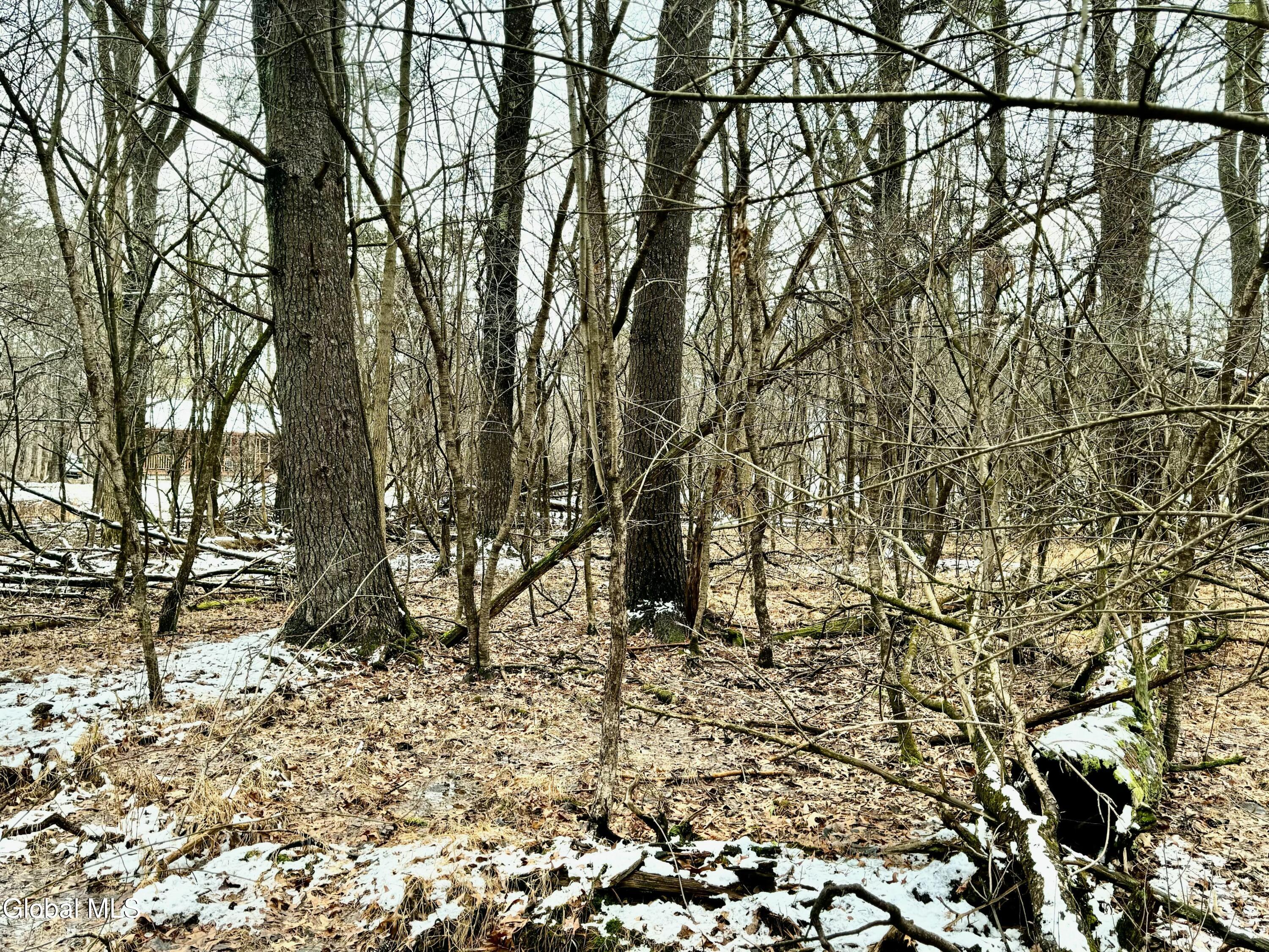 2000 Sleepy Hollow Road Coxsackie, NY 12015 - Photo 3 of 10 2000 Sleepy Hollow Rd