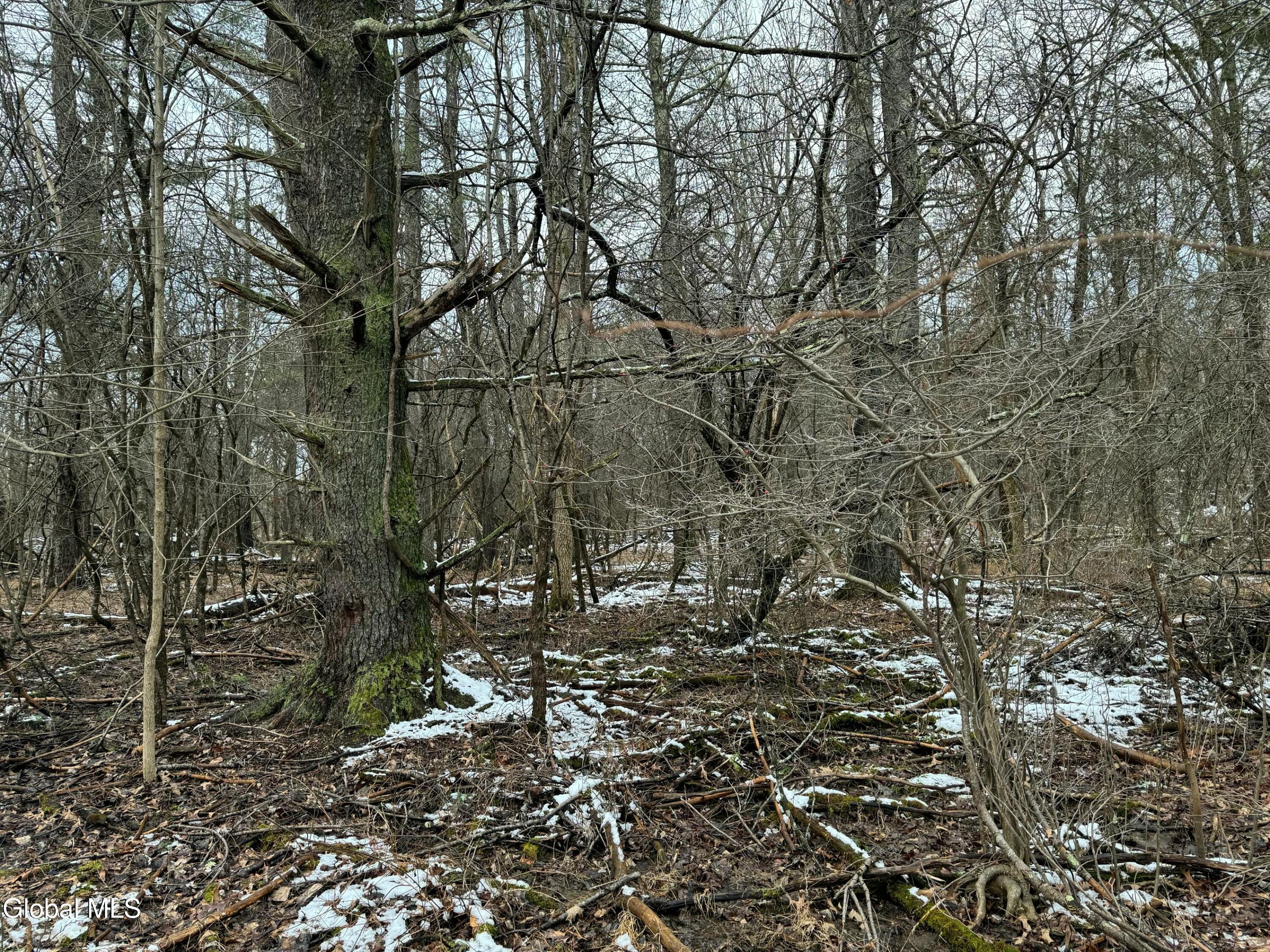 2000 Sleepy Hollow Road Coxsackie, NY 12015 - Photo 4 of 10 2000 Sleepy Hollow Rd