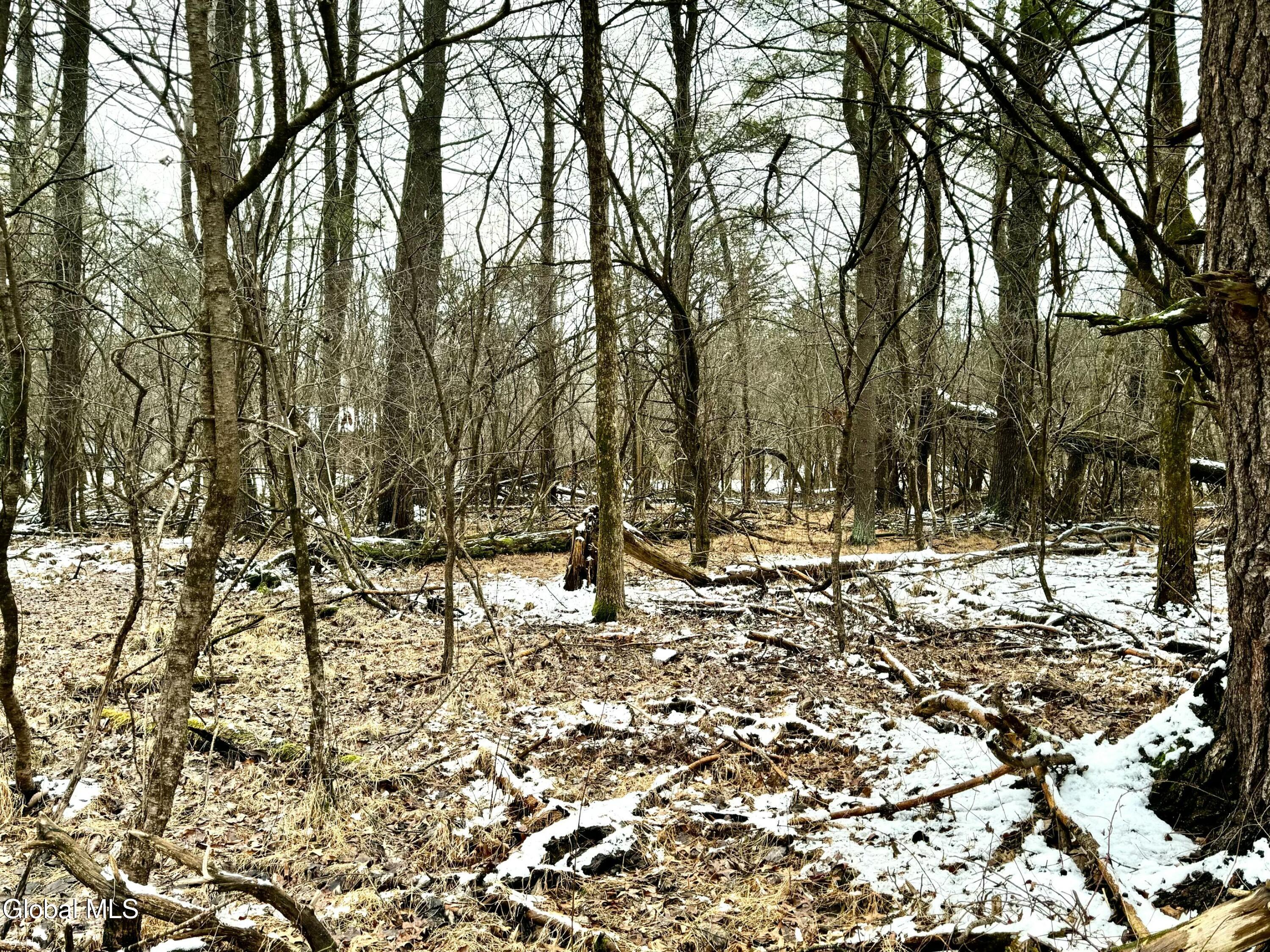 2000 Sleepy Hollow Road Coxsackie, NY 12015 - Photo 5 of 10 2000 Sleepy Hollow Rd