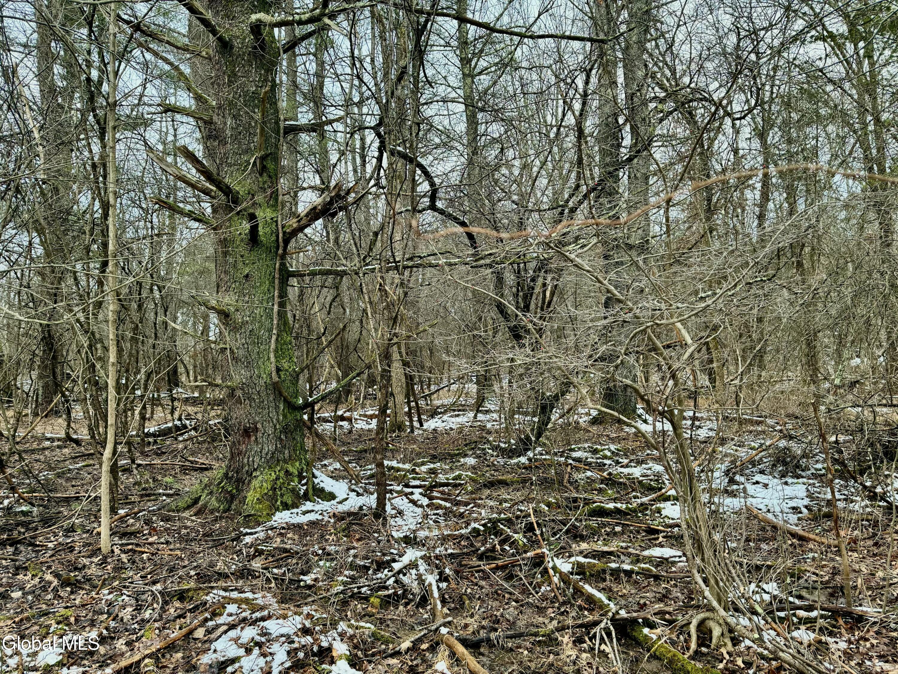 2000 Sleepy Hollow Road Coxsackie, NY 12015 - Photo 6 of 10 2000 Sleepy Hollow Rd