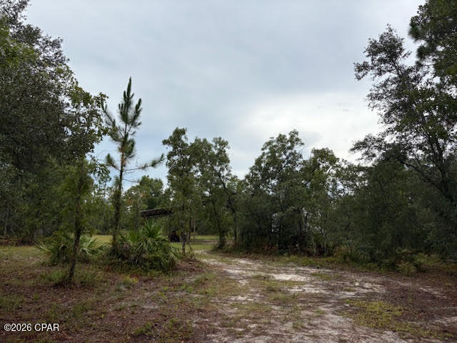 4539 Northwest White Road Altha, FL 32421 - Photo 16 of 82