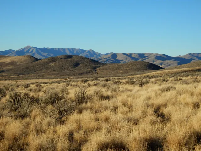 $625,000 | Tbd Spud Patch Road, Bellevue, ID 83313