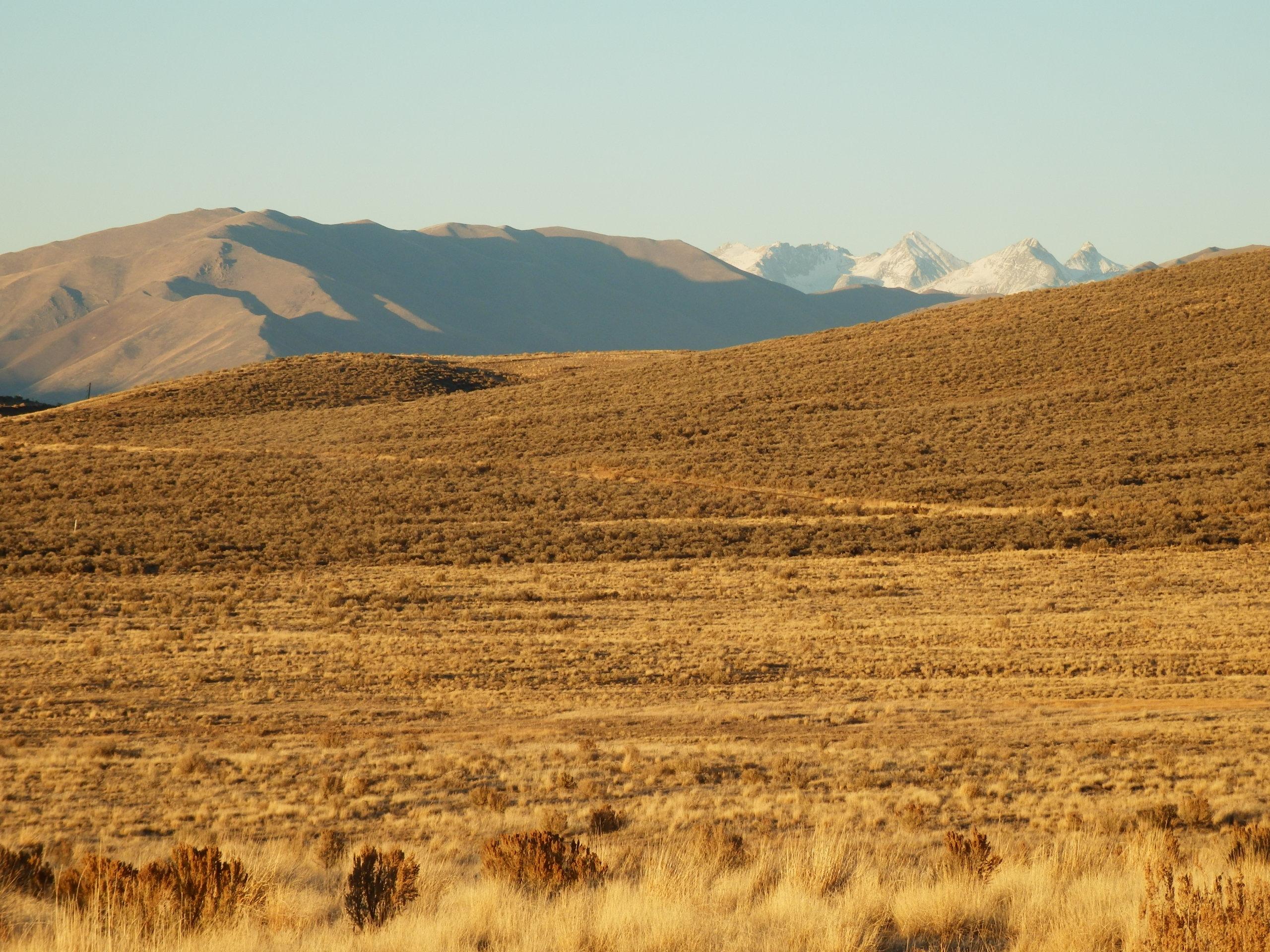 Tbd Spud Patch Road Bellevue, ID 83313 - Photo 17 of 24 Even better in the spring and summer