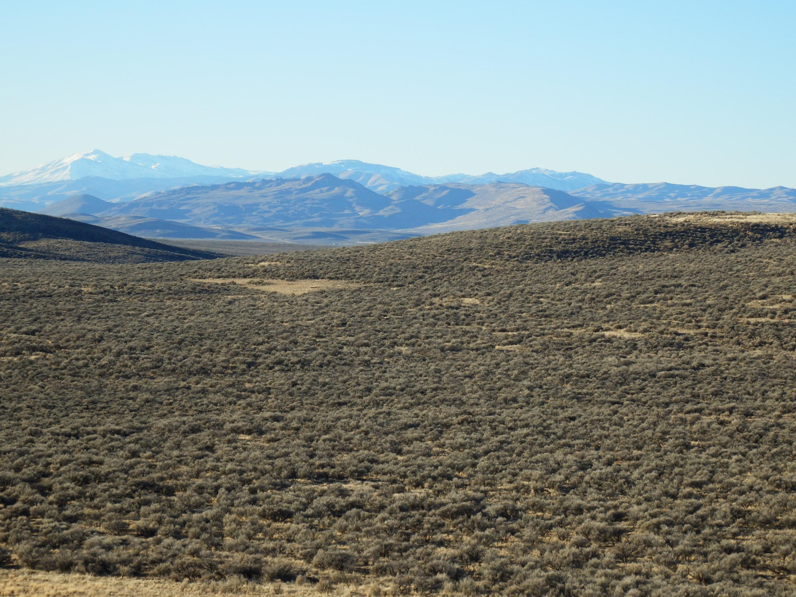 Tbd Spud Patch Road Bellevue, ID 83313 - Photo 4 of 24 Looking West