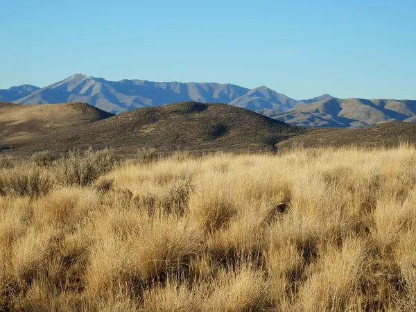 $625,000 | Tbd Spud Patch Road, Bellevue, ID 83313