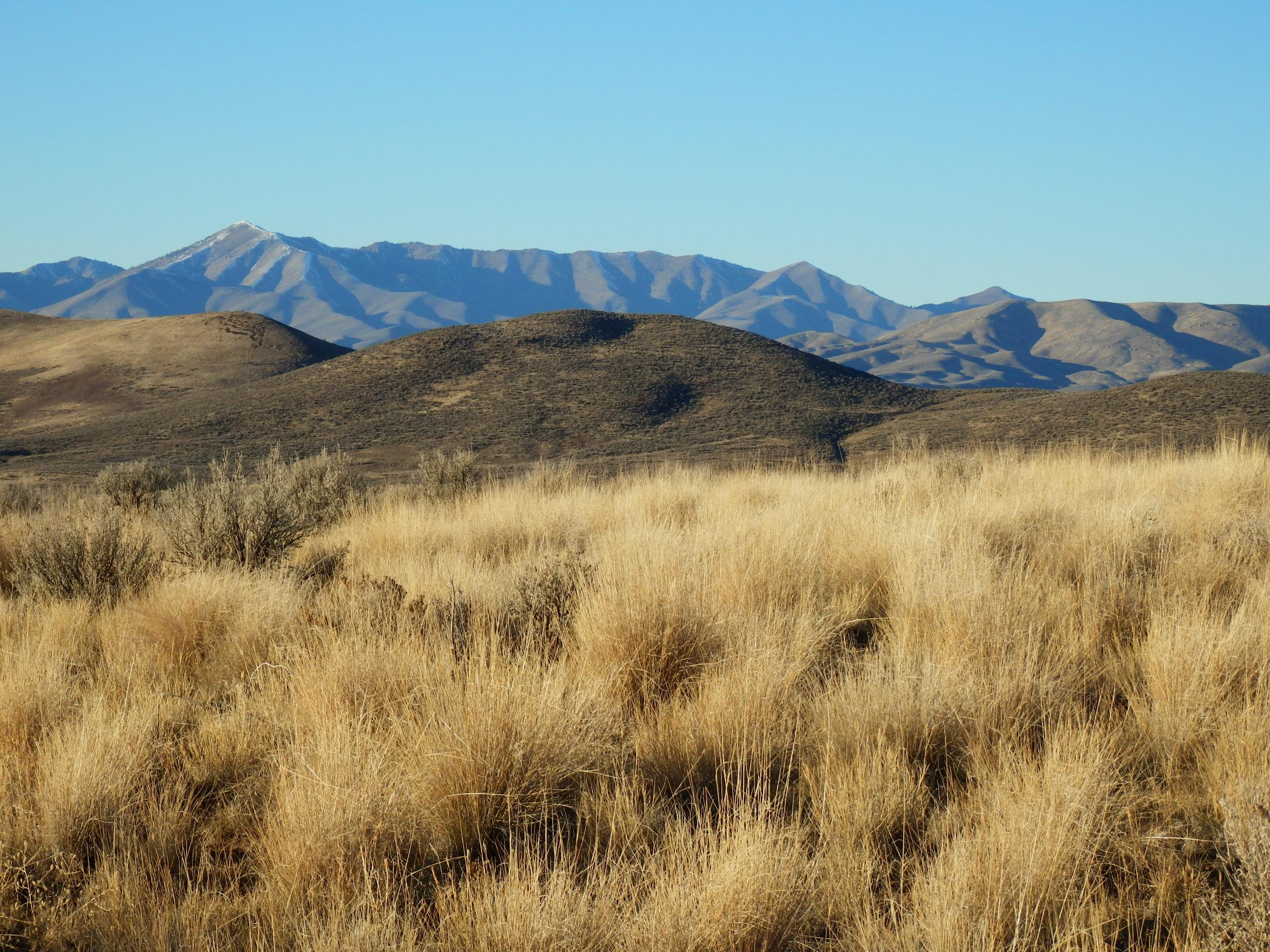 Tbd Spud Patch Road Bellevue, ID 83313 - Photo 7 of 24 and more views!