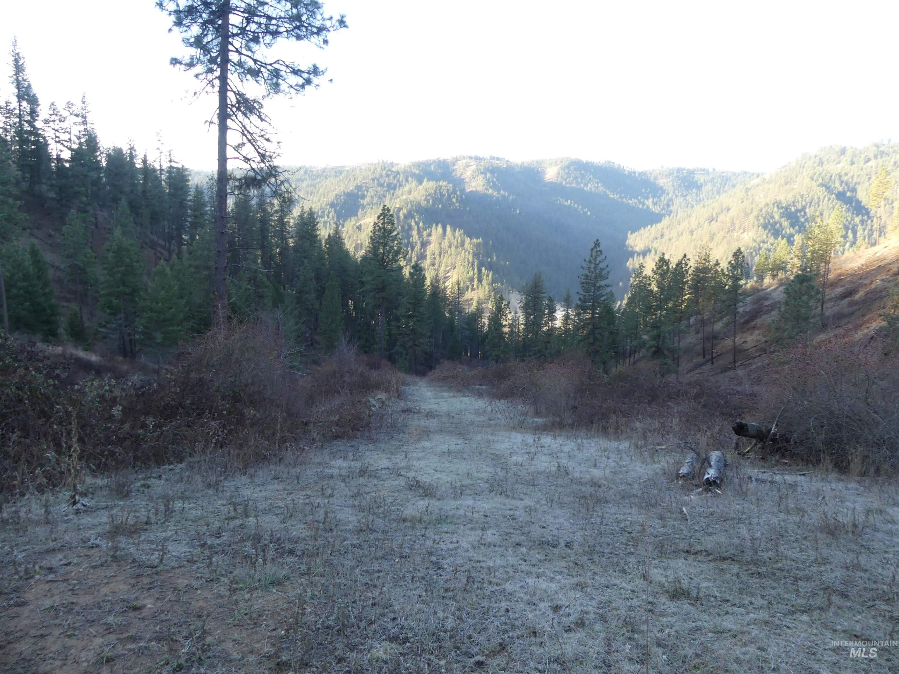 1408 Carrot Ridge Road Kamiah, ID 83536 - Photo 18 of 48
