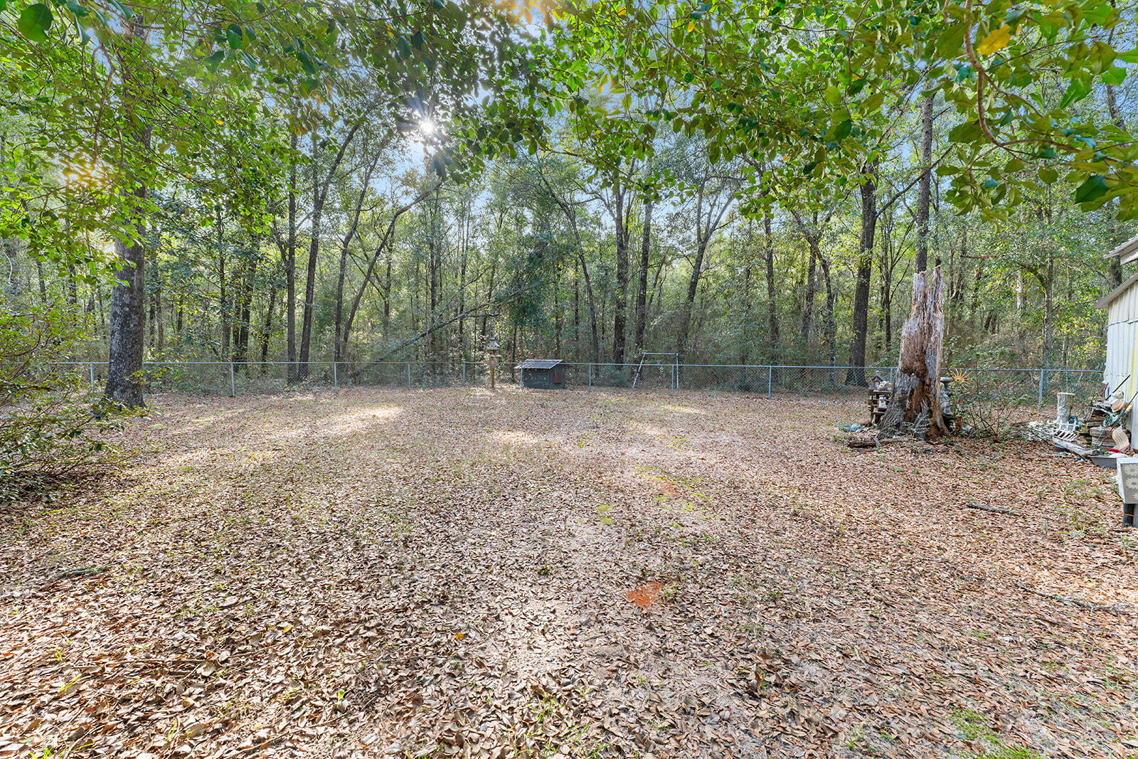 4780 Griffith Road Holt, FL 32564 - Photo 15 of 44 a view of a yard with trees in the background