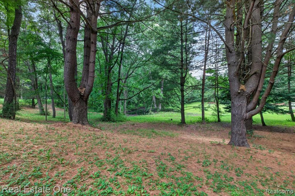 425 Courtney Road Leonard, MI 48367 - Photo 59 of 89 Gallery Image 59