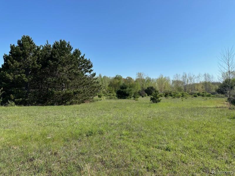 -parcel B Ambrose Road Mayville, MI 48744 - Photo 11 of 18 Gallery Image 11