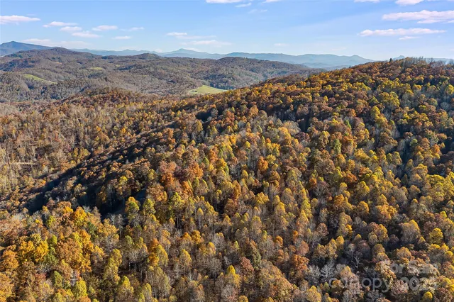 $29,000 | Lot 103 Alderfly Court, Spruce Pine, NC 28777