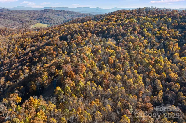 $29,000 | Lot 103 Alderfly Court, Spruce Pine, NC 28777