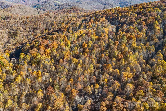 $29,000 | Lot 103 Alderfly Court, Spruce Pine, NC 28777