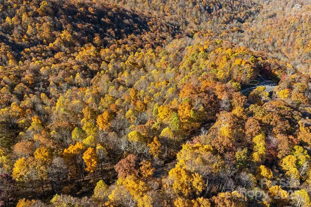 $29,000 | Lot 103 Alderfly Court, Spruce Pine, NC 28777