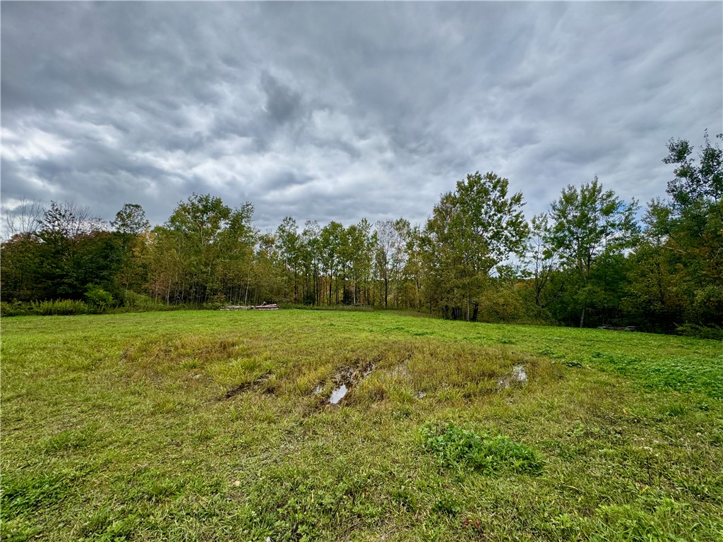 Gallop Hill Road Walton, NY 13856 - Photo 2 of 48 Gallery Image 2