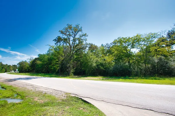 $489,300 | 21750 Farm To Market Road 1488, Magnolia, TX 77355