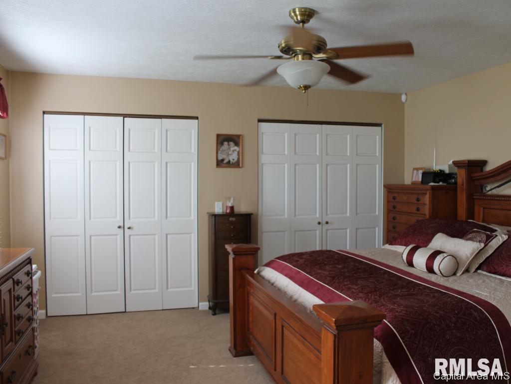 12850 Union School Road Auburn, IL 62615 - Photo 20 of 27 Gallery Image 20