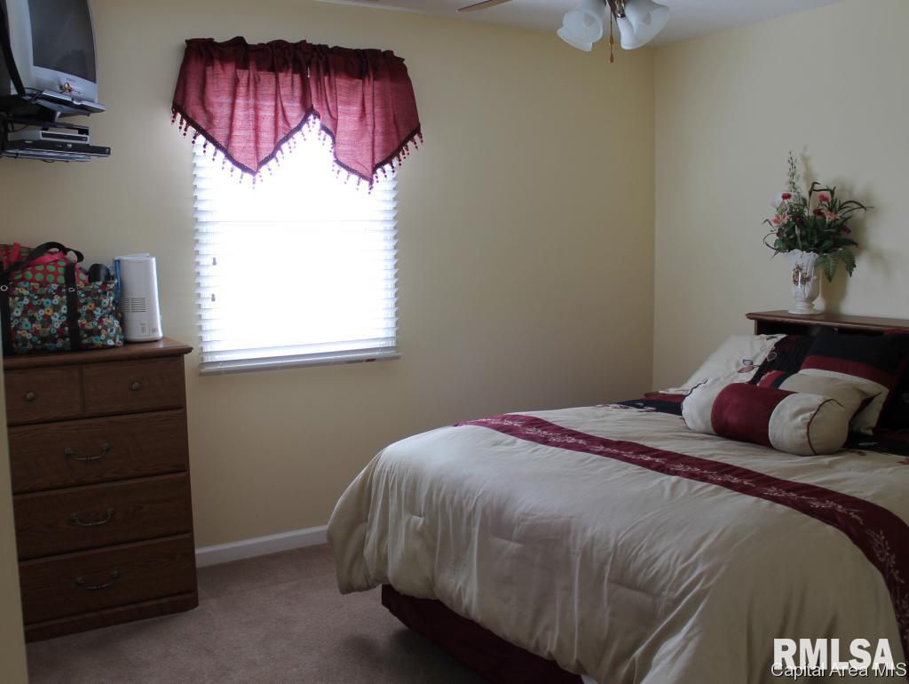 12850 Union School Road Auburn, IL 62615 - Photo 22 of 27 Gallery Image 22