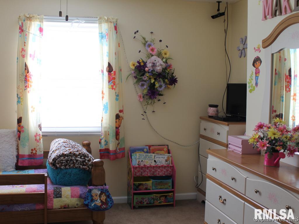 12850 Union School Road Auburn, IL 62615 - Photo 23 of 27 Gallery Image 23