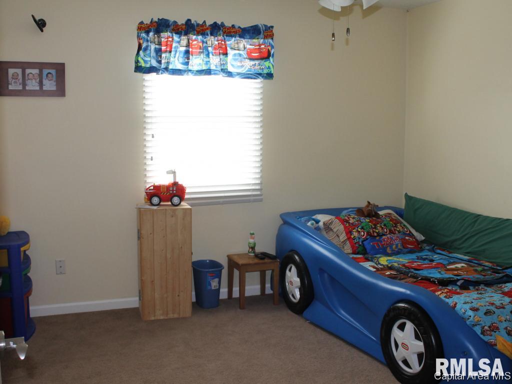 12850 Union School Road Auburn, IL 62615 - Photo 25 of 27 Gallery Image 25