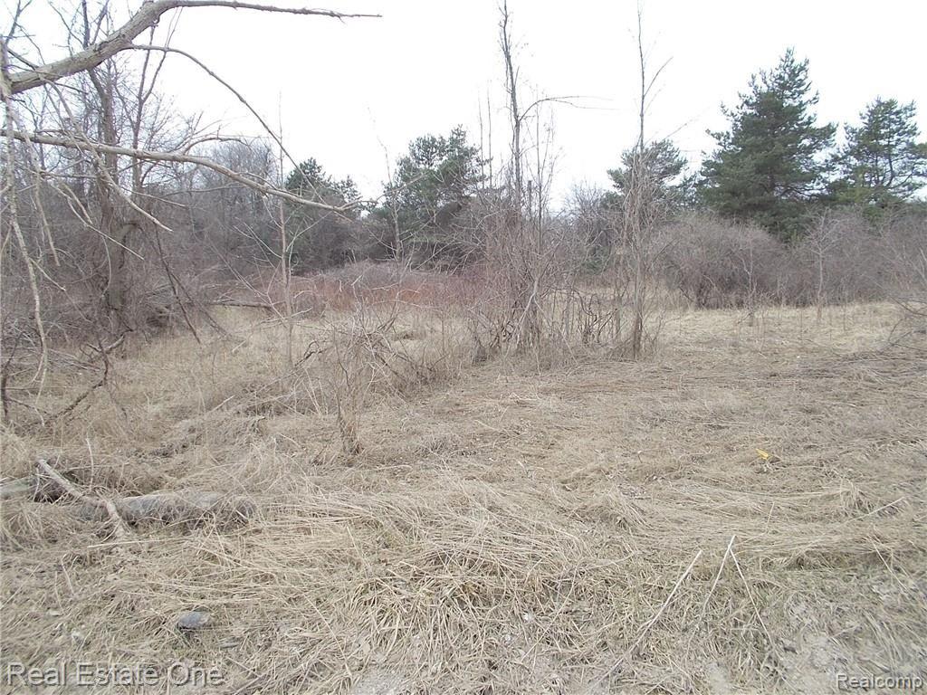 0 North Lake George Road Oakland, MI 48363 - Photo 5 of 55