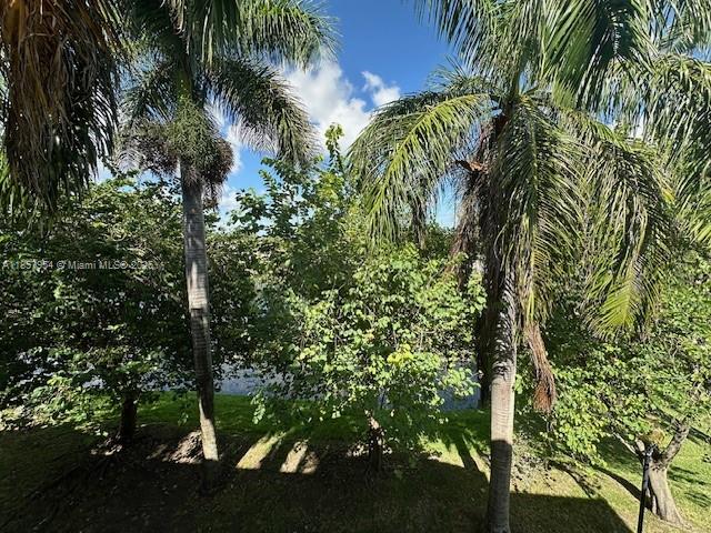 20810 Southwest 87th Avenue, Unit 308 Cutler Bay, FL 33189 - Photo 24 of 24 a view of banana tree
