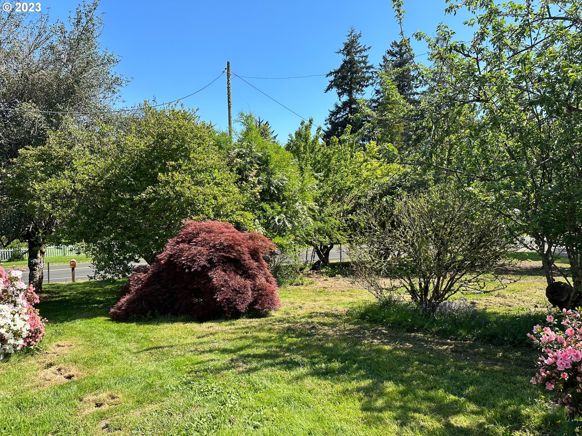 39714 Burnside Loop Astoria, OR 97103 - Photo 14 of 18 Gallery Image 14