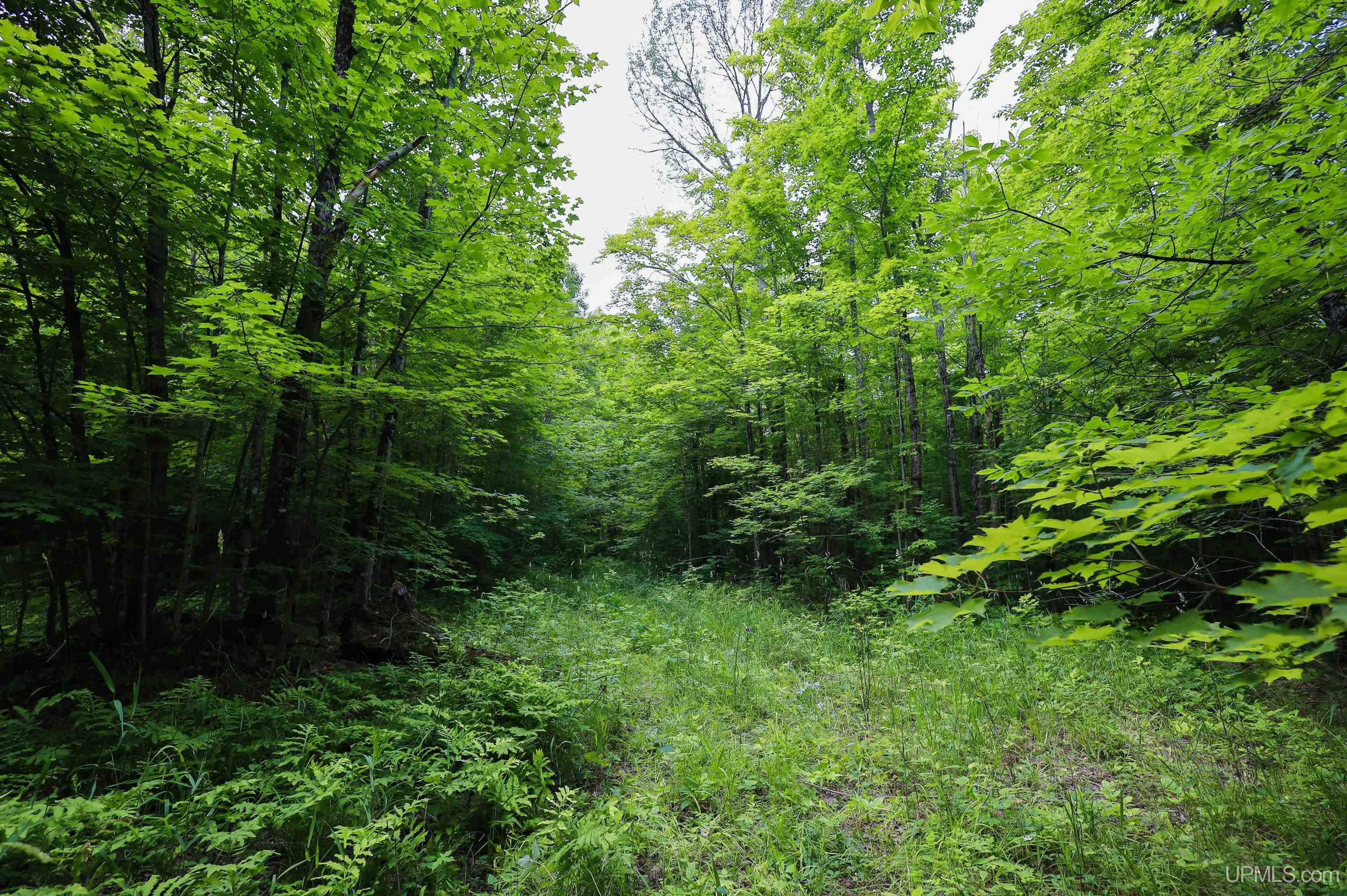 Tbd Sigan Road Marquette, MI 49855 - Photo 11 of 32