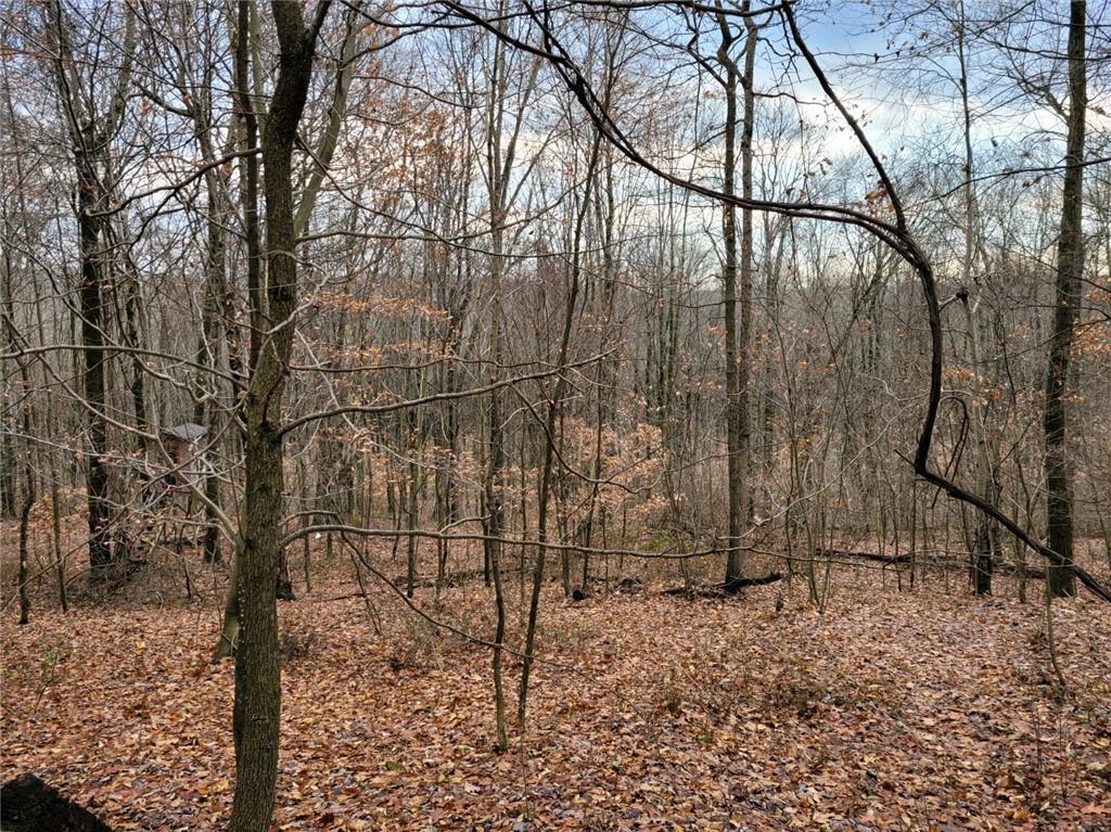 358 Jacobs Road Harrisville, PA 16038 - Photo 14 of 14 Gallery Image 14