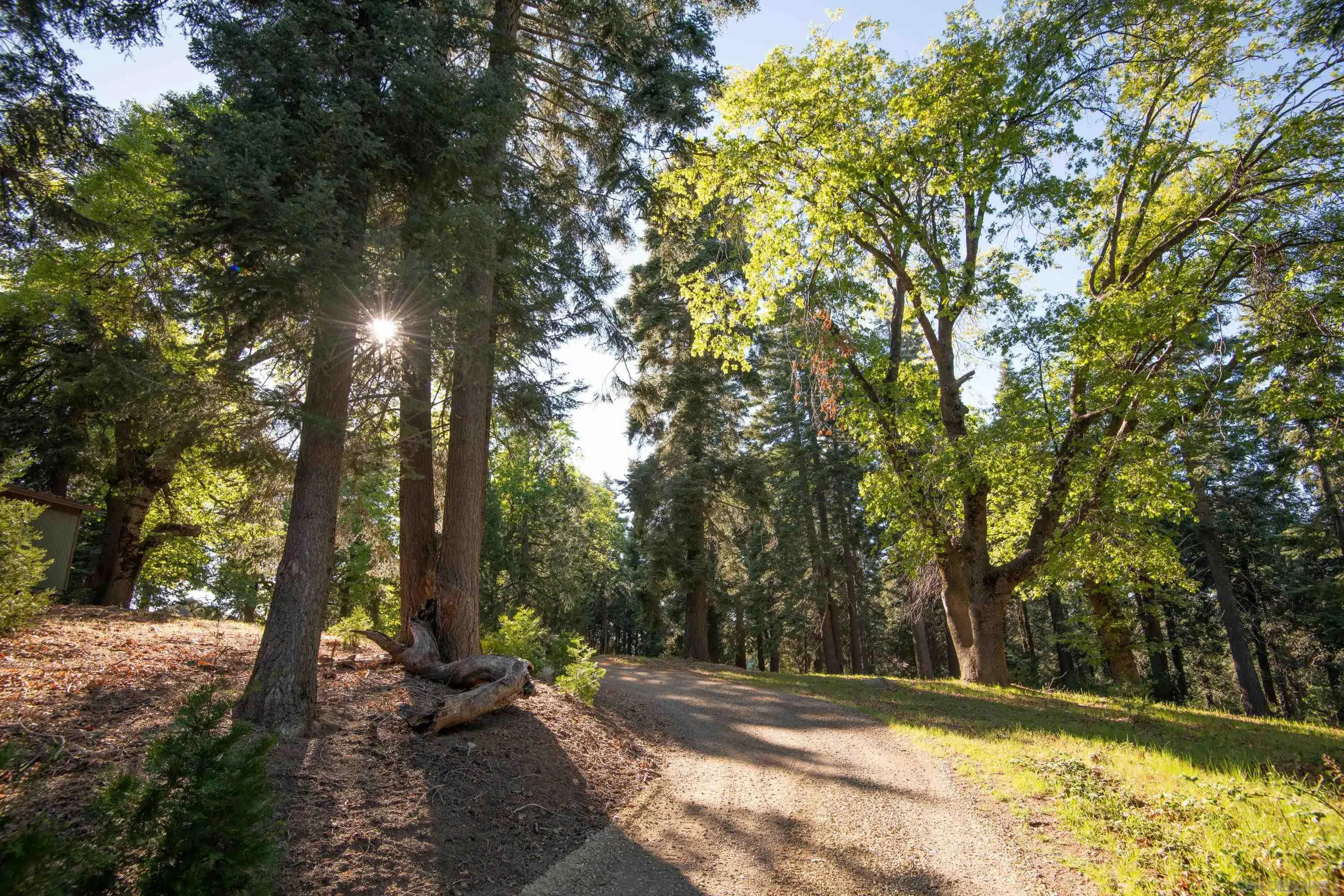3413 Fern Meadow Road Palomar Mountain, CA 92060 - Photo 29 of 38 a view of outdoor space with trees