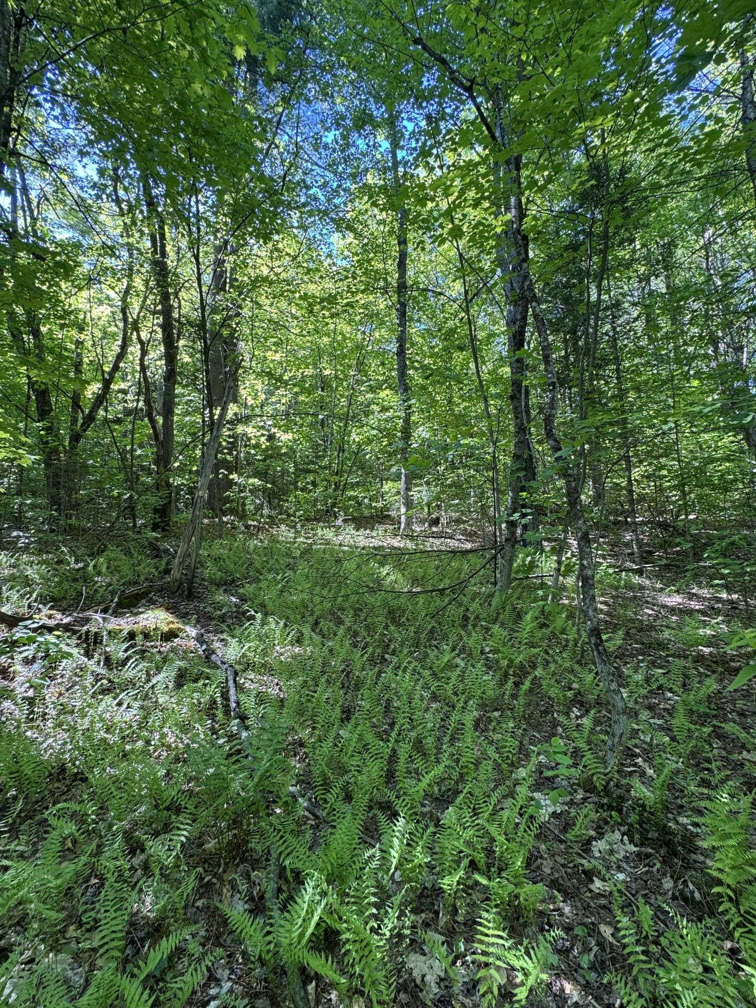 2800 Dugar Brook Road Calais, VT 05650 - Photo 7 of 12