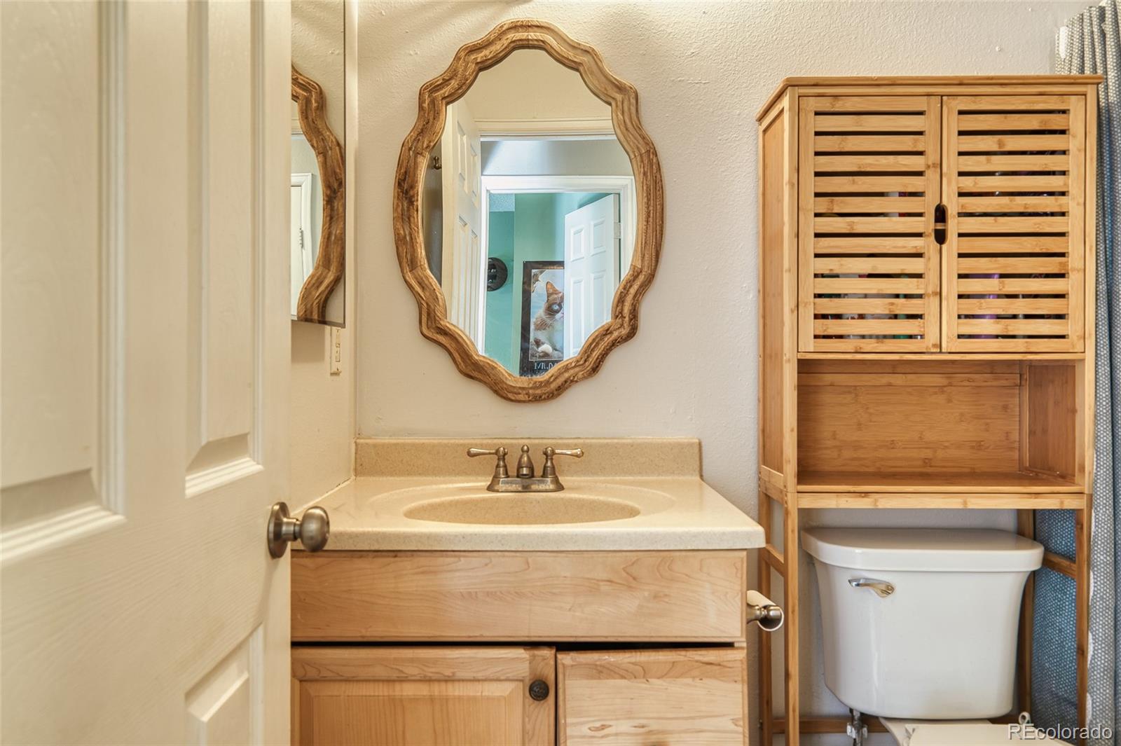 4106 South Laredo Way Aurora, CO 80013 - Photo 19 of 40