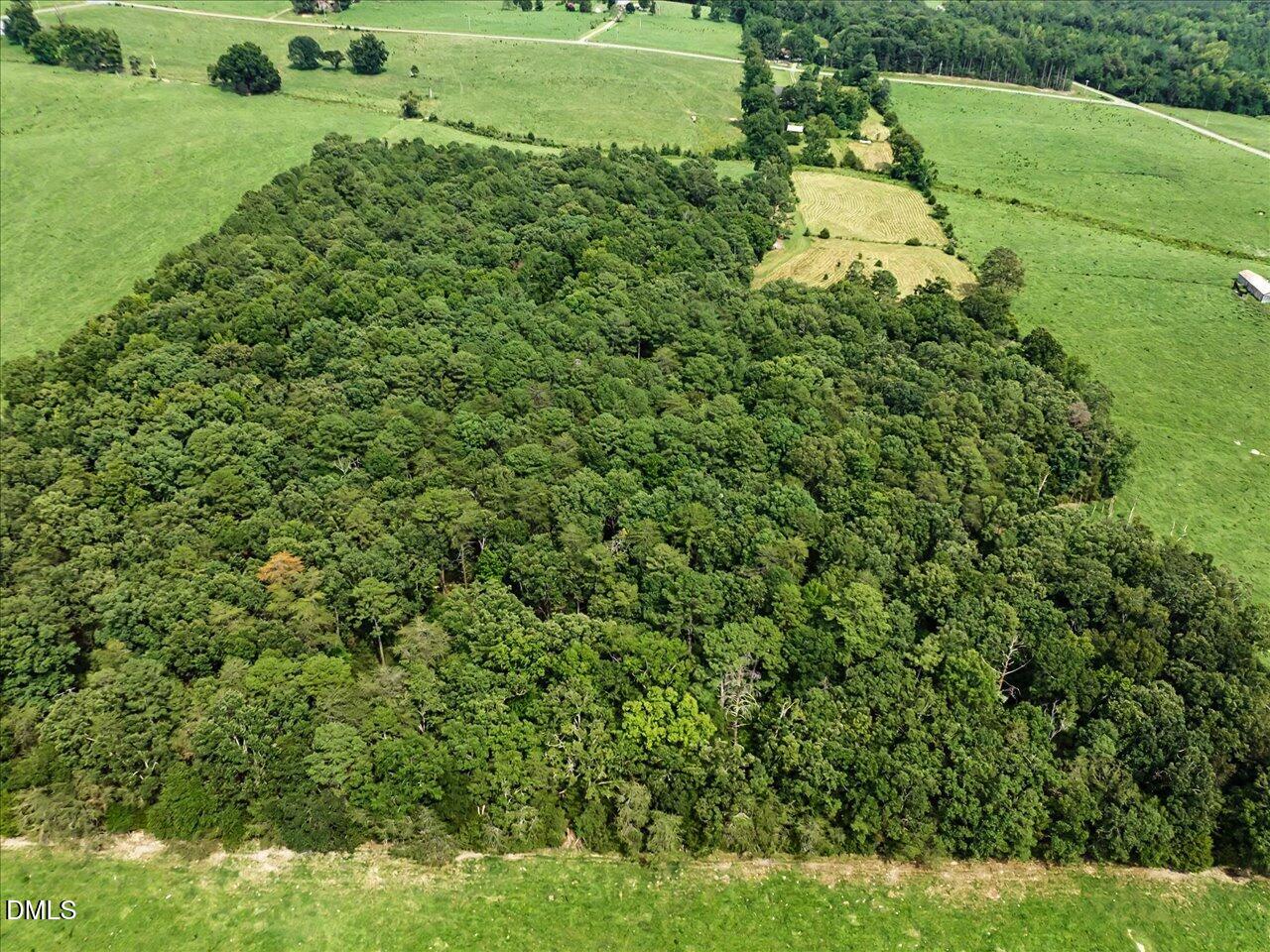 147 Carl Johnson Road Snow Camp, NC 27349 - Photo 65 of 68 67-Aerial View