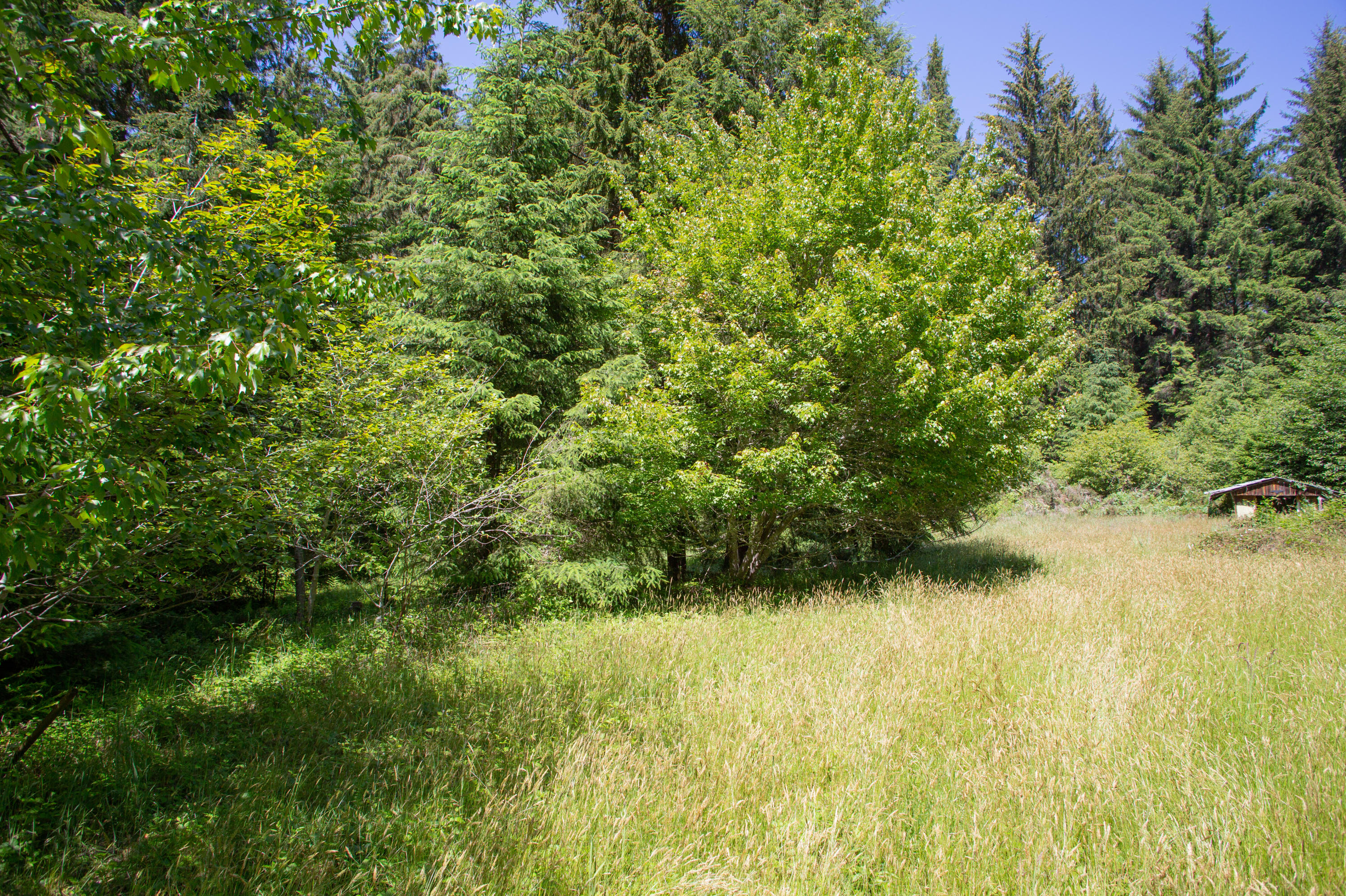 2095 Arthur Road McKinleyville, CA 95519 - Photo 7 of 29
