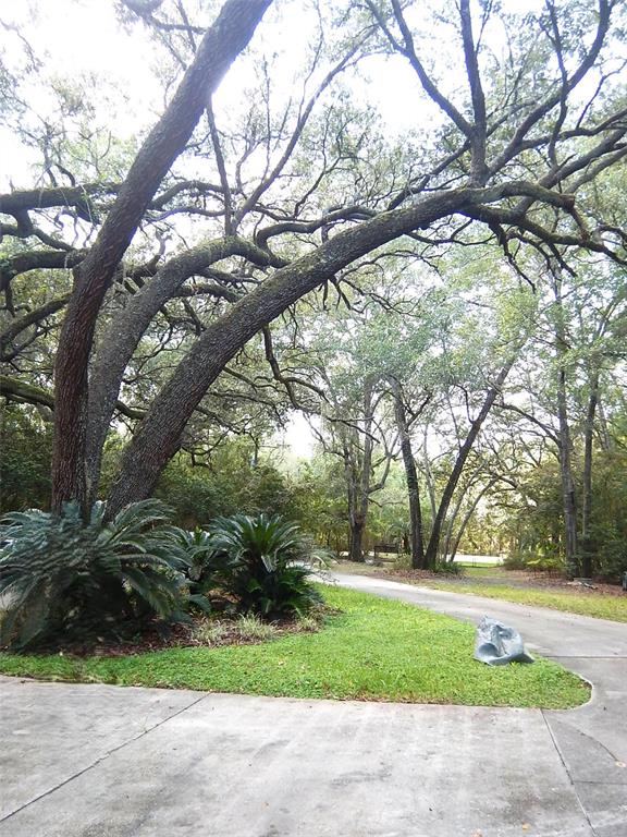 8315 Lilly Lake Road Melrose, FL 32666 - Photo 47 of 47 Gallery Image 47