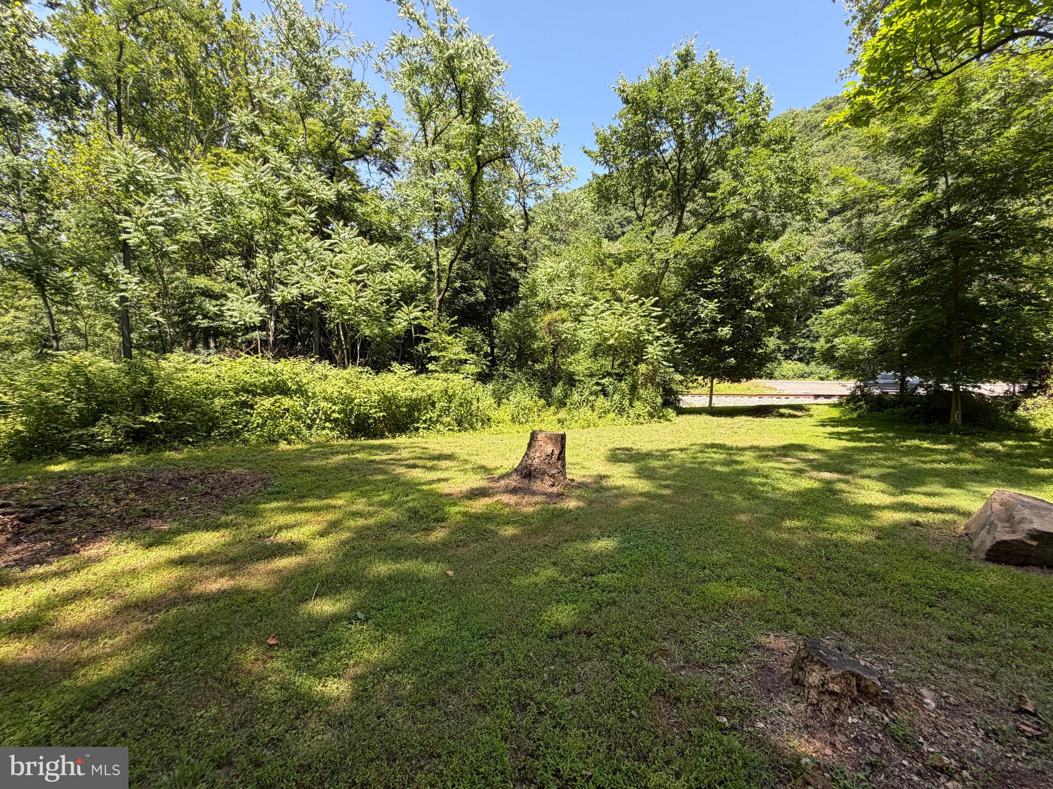 0 Westernport Road Southwest Westernport, MD 21562 - Photo 10 of 41