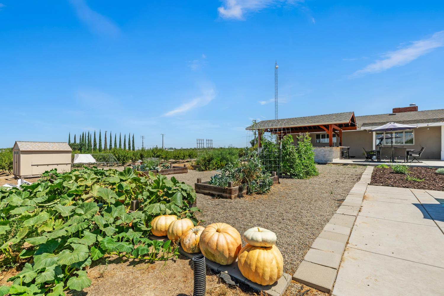 4901 Saylor Road Hughson, CA 95326 - Photo 44 of 66 Gallery Image 44