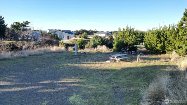 a view of swimming pool with a yard