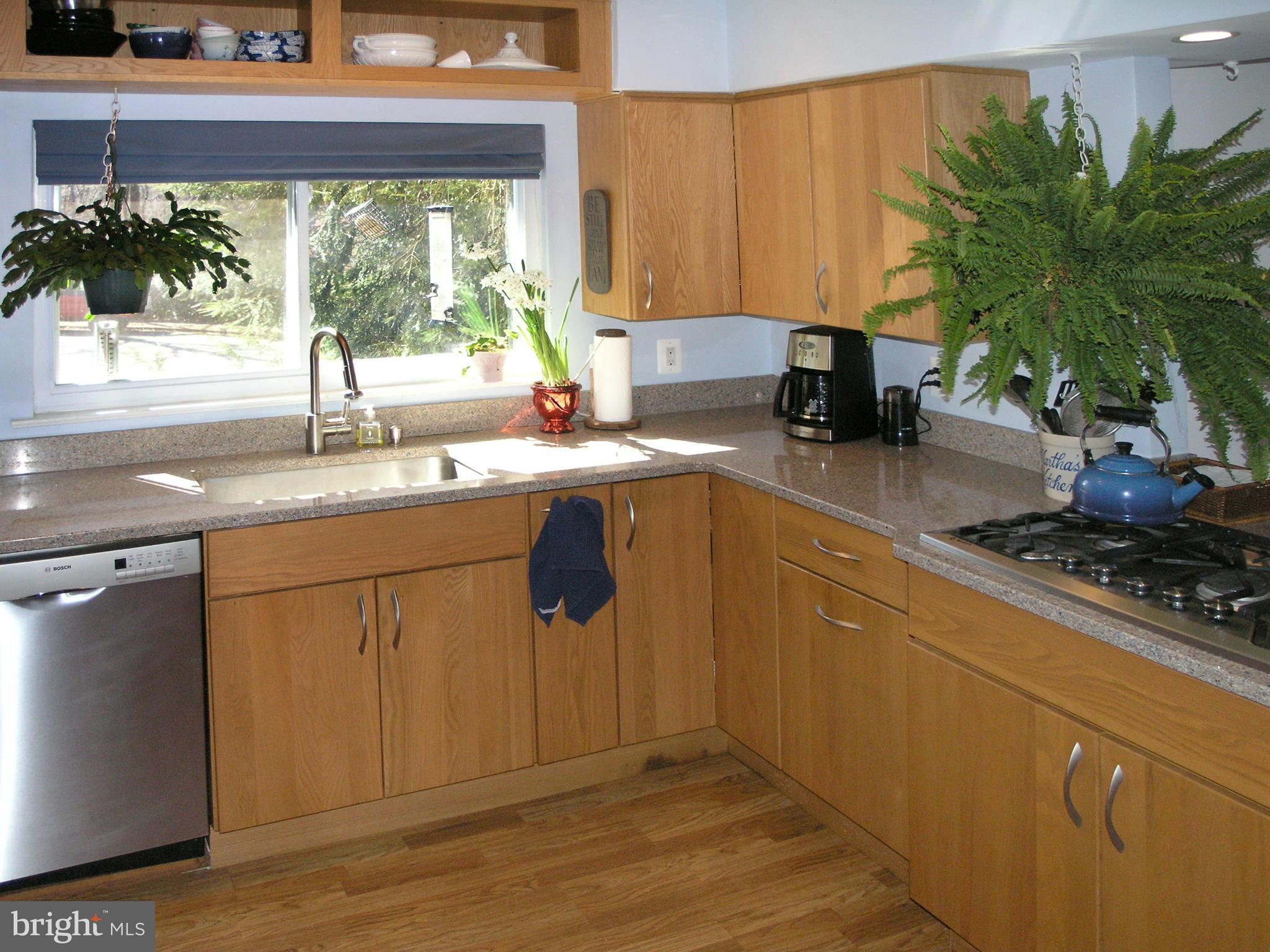 1619 Inlet Court Reston, VA 20190 - Photo 11 of 30 Kitchen