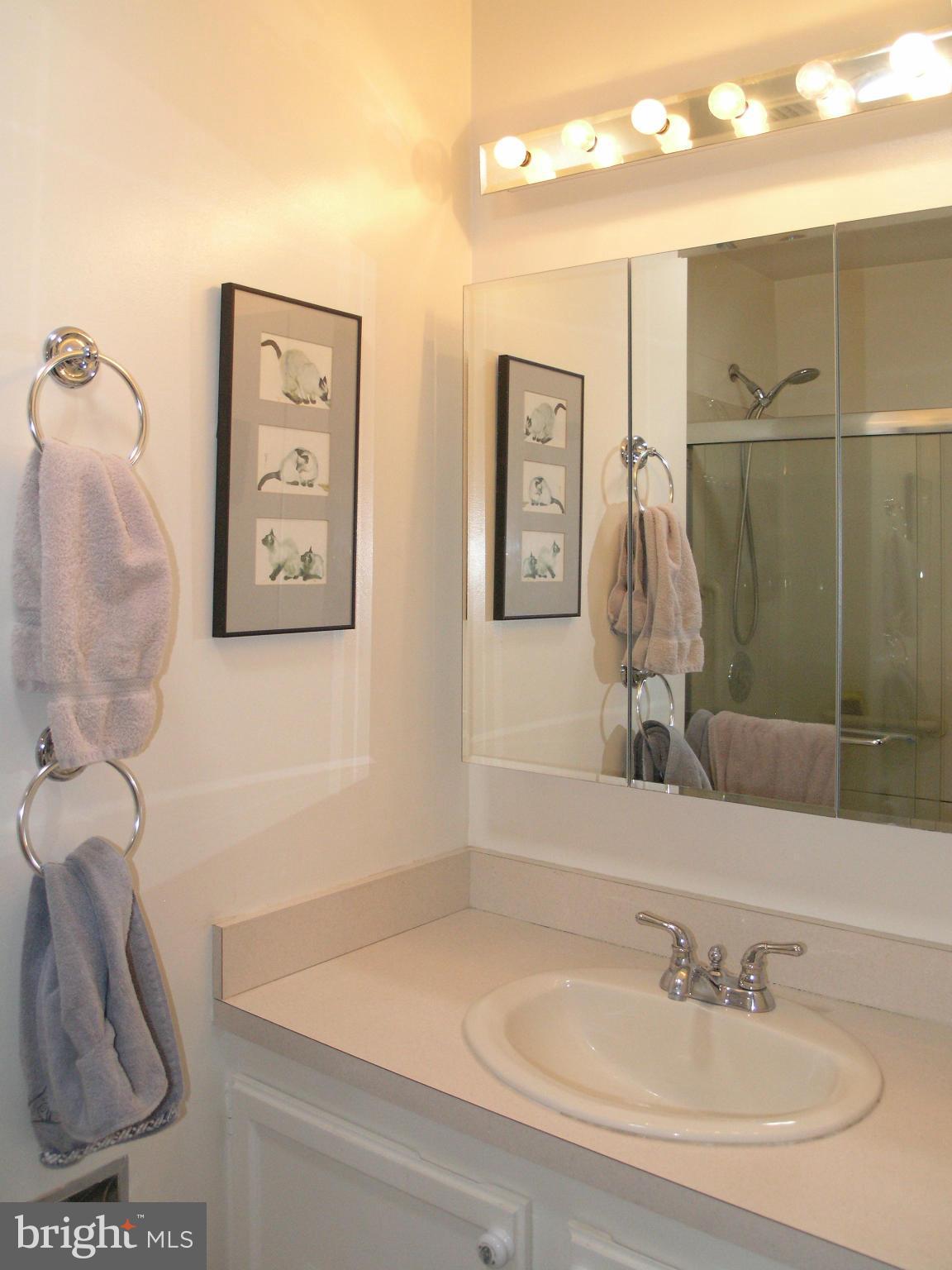 1619 Inlet Court Reston, VA 20190 - Photo 15 of 30 Bath (Master)
