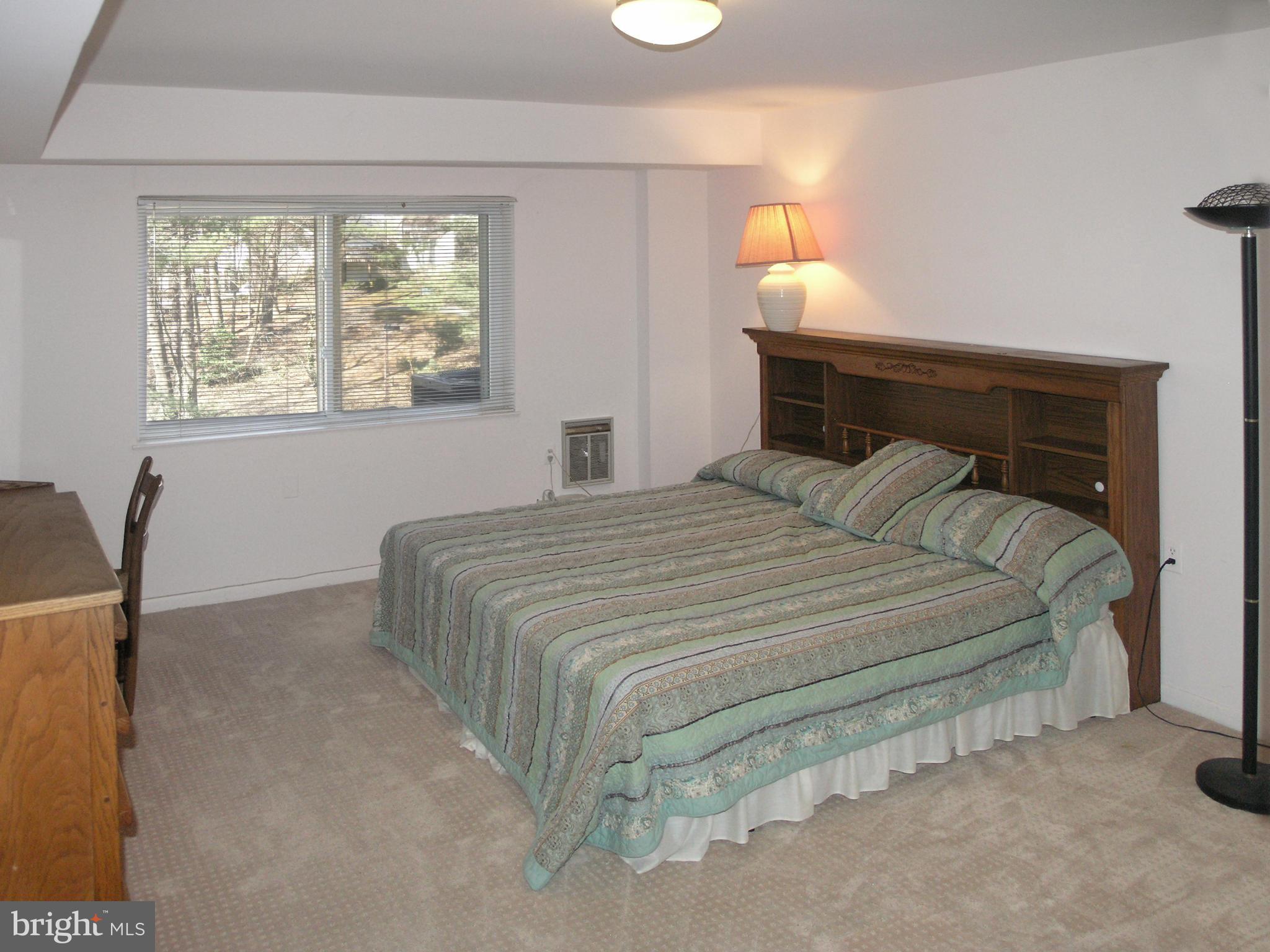 1619 Inlet Court Reston, VA 20190 - Photo 21 of 30 Lower Level Bedroom