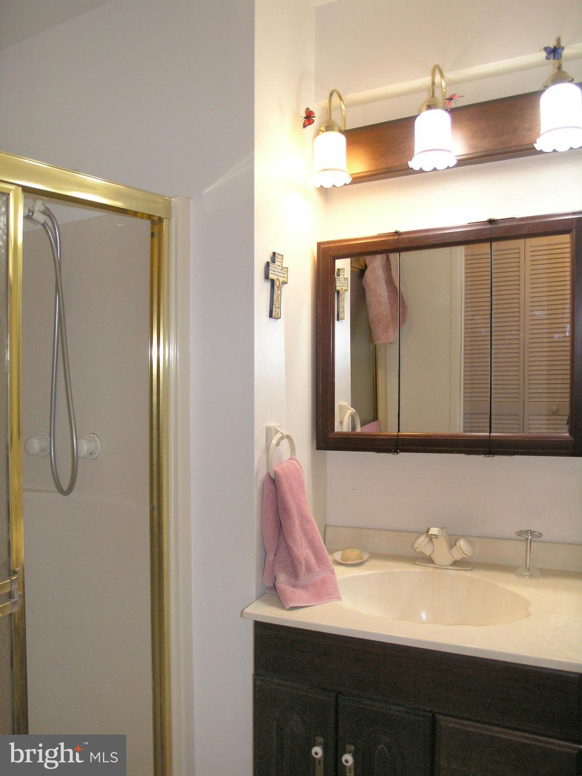 1619 Inlet Court Reston, VA 20190 - Photo 22 of 30 lower level full bath