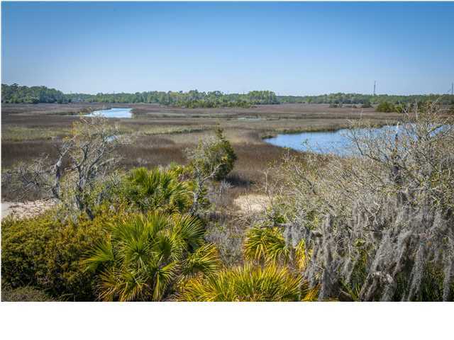10 Lafar Street Charleston, SC 29492 - Photo 23 of 23 Additional Photo