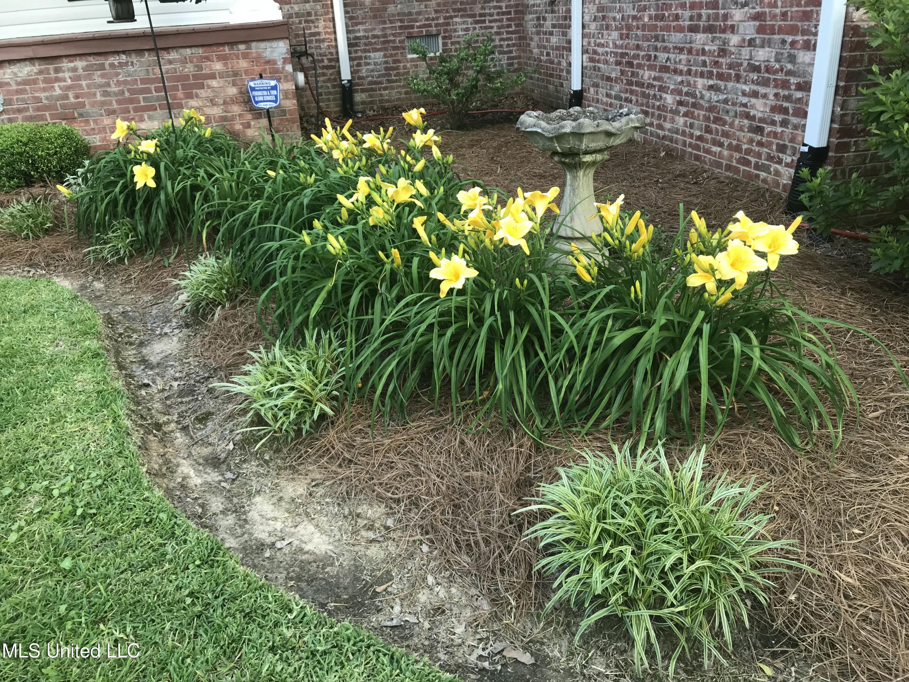 4 Greenhead Lane Raymond, MS 39154 - Photo 3 of 57 IMG_4525