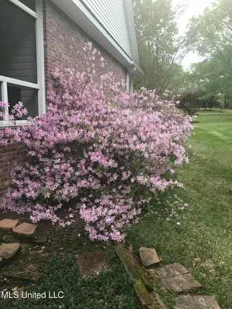 $379,000 | 4 Greenhead Lane, Raymond, MS 39154